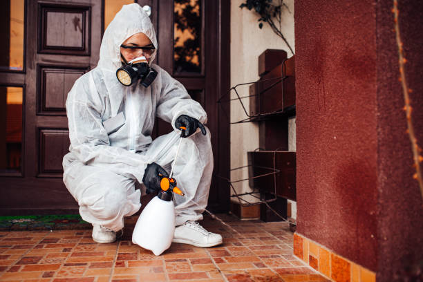 Reliable Cockroach Control contractor in Odenville, AL by Nex Pest Control