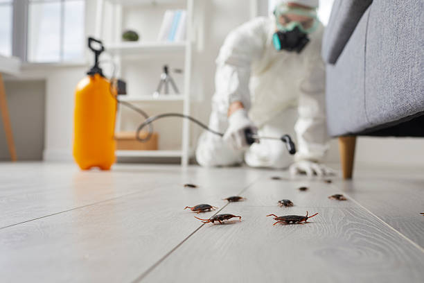 Trusted Cockroach Control service in Odenville, AL - Nex Pest Control